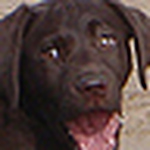Profile Picture of Mark Jensen (@colorado jensen) on Flickr