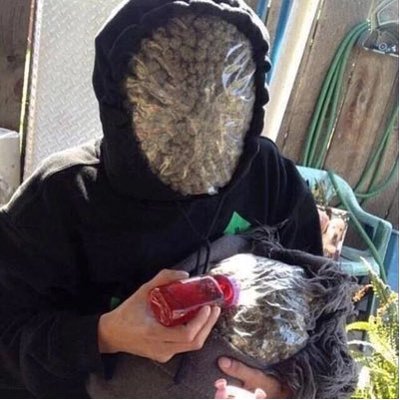 Profile Picture of Blake (@litty_chris3412) on Twitter