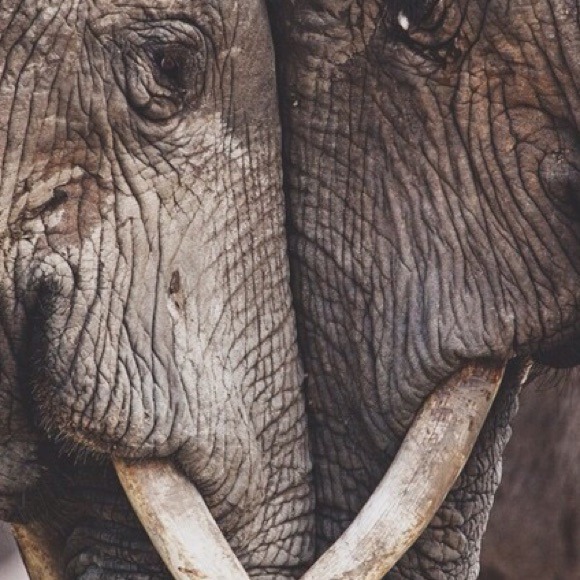 Madeleine Hrabovsky - Poshmark Profile Picture of Madeleine Hrabovsky (@maduhlinnn) on Poshmark