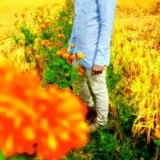 Profile Picture of Amjad Aslam (@amjadaslam057) on Twitter