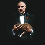 Profile Picture of Neil Strauss (@neilstrauss7) on Instagram