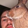 Profile Picture of David Andreasson (@@halloumi54321) on Tiktok