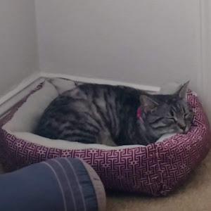 Profile Picture of michaelbaerman (@michaelbaerman) on Tiktok