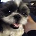 Profile Picture of Paul Adolf (@paul.adolf) on Facebook