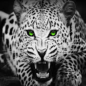 Profile Picture of David Kusayev (@davidkusayev2400) on Youtube