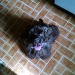 Profile Picture of Donna Iverson (@donna1garytoo) on Instagram