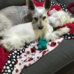 Profile Picture of nancy Thompsom (@raderfn1) on Instagram
