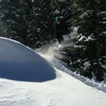 Profile Picture of Jesse Haller (@jdhaller12) on Instagram