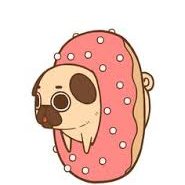 Profile Picture of Kassandra Gonzales (@smileyrocksall) on Twitter