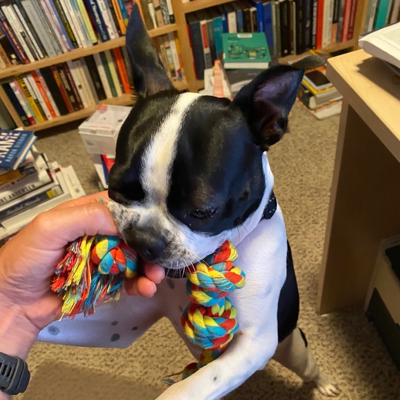 Profile Picture of Gale Fulton (@gafu8) on Poshmark