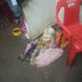 Profile Picture of Jac Alvarez (@jac.alvarez.587) on Facebook