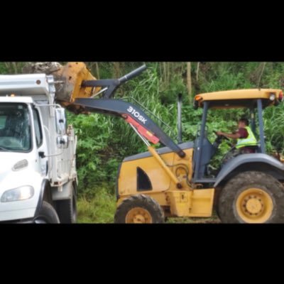 Profile Picture of Bob (@LizamaBob) on Twitter