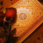 Profile Picture of Wahida Chaker Amous (@wahida.chaker.3) on Facebook