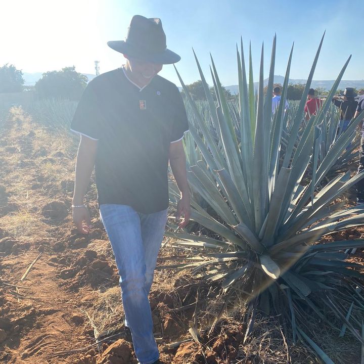 Profile Picture of Erick Alcala (@erickalcala2) on Tiktok