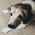 Profile Picture of Peter Wolfert (@peter.wolfert.5) on Facebook