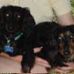 Profile Picture of Beth Stripling Hill (@beth.s.hill.58) on Facebook
