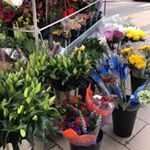 Profile Picture of Kim Dailey (@norwichflowerstall) on Instagram