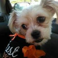 Profile Picture of Jay Burroughs (@jay-burroughs) on Quora