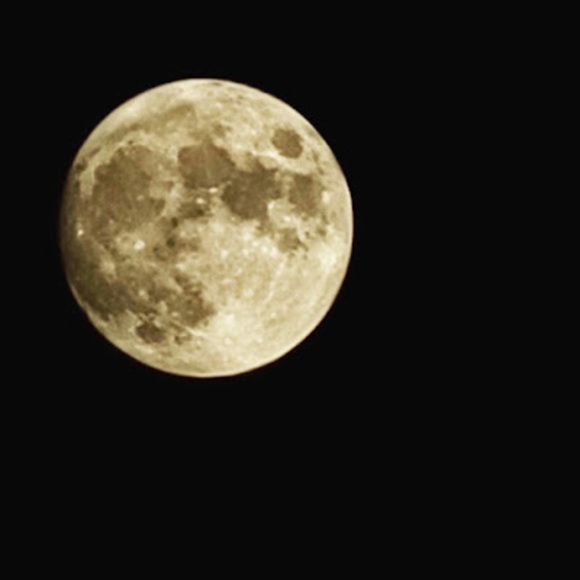 Gianna Barone - Poshmark Profile Picture of Gianna Barone (@giannabarone533) on Poshmark