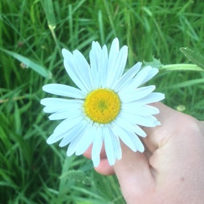 Stephen Bristow - Twitter Profile Picture of Stephen Bristow (@StephenBristo14) on Twitter