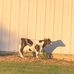 Profile Picture of Kevin Krueger (@kevin.krueger.1460) on Facebook
