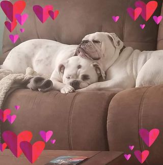 Becky Josef Haas - Facebook Profile Picture of Becky Josef Haas (@becky.josefhaas) on Facebook