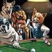 Profile Picture of Raw Dogz (Trd) (@raw.dogz.9) on Facebook