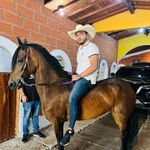 Profile Picture of JOHN GUTIERREZ (@j_gutierrez1206) on Instagram