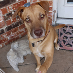 Profile Picture of Libby Carter (@libby.carter7) on Flickr