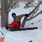 Max Sheldon - Instagram Profile Picture of Max Sheldon (@maxjsheldon) on Instagram