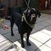 Profile Picture of James Hoole (@james.hoole.923) on Facebook