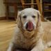 Profile Picture of Allison Dobson (@allison.dobson.524) on Facebook