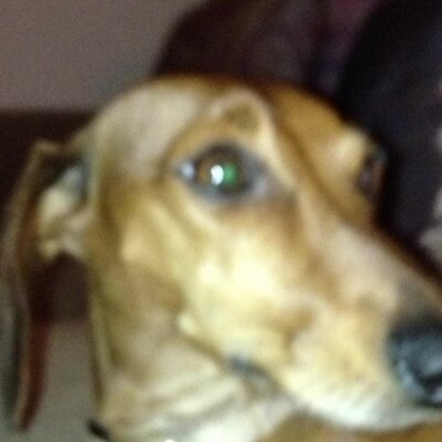 Profile Picture of Tom Conn (@tomconn2) on Twitter