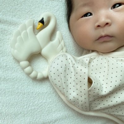 Profile Picture of KOMAZAKI YURI (@KomazakiY) on Twitter