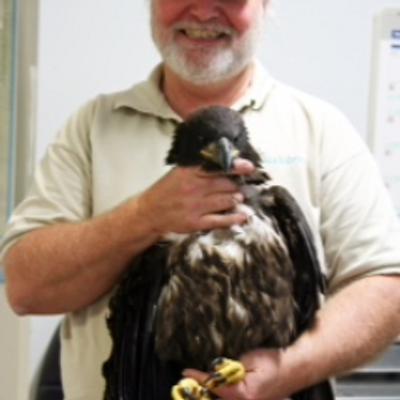 Profile Picture of Robert Veal (@Eagle_handler) on Twitter