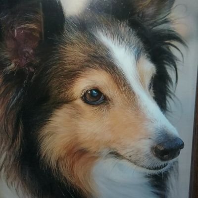 Profile Picture of Geri Ducane (@geriRducane) on Twitter