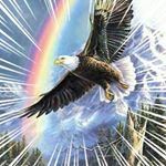Profile Picture of Martin Lim (@martinlimkc) on Instagram