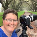 Profile Picture of Tina Grimm (@tinagrimmphotography) on Instagram