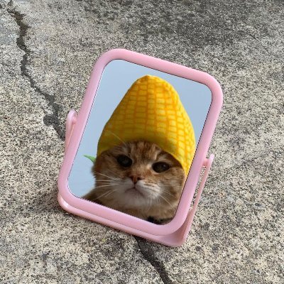 Pao - Twitter Profile Picture of Pao (@pauline_mogro) on Twitter