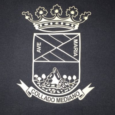 Profile Picture of A.D. Collado Mediano (@ADCMEDIANO) on Twitter