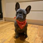 Profile Picture of mimi (@mimiwatson12) on Instagram