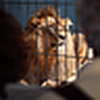 Profile Picture of A R (@Alex-Rudolph) on Flickr