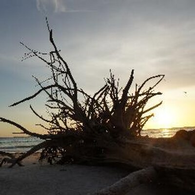 Profile Picture of Michael Abshire (@michaelnmna) on Twitter