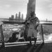 Profile Picture of Steven Guzman (@steve.guzman.739) on Facebook