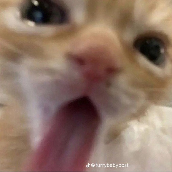 Profile Picture of Devin King (@nootalish) on Poshmark