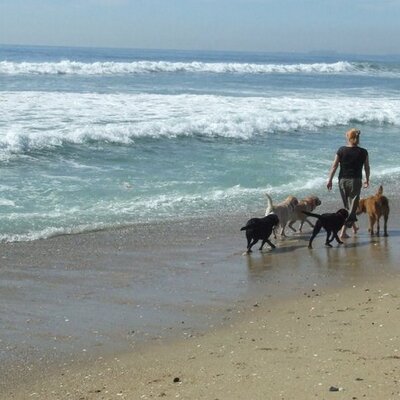 Profile Picture of Anne Gundersen (@AnneGundersen) on Twitter