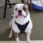 Profile Picture of Steven Reeves (@Steven-Reeves) on Facebook