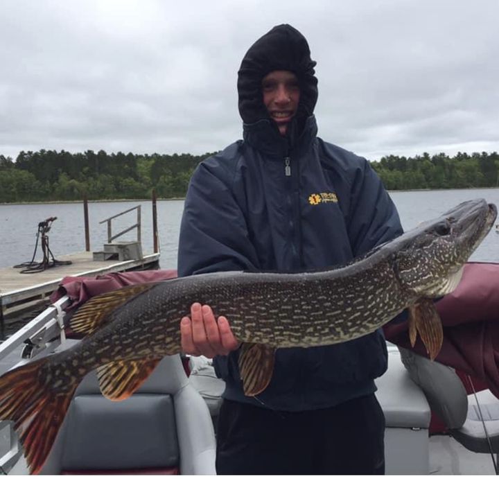 Profile Picture of Brett Woolsey (@brettwoolsey11) on Tiktok