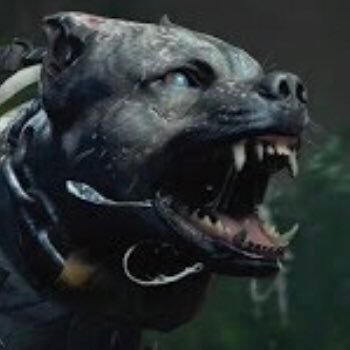 Profile Picture of IDK What To Put Here (@DylanMclain5) on Twitter