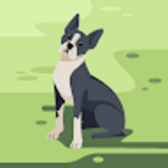 Jackie Rainey - Poshmark Profile Picture of Jackie Rainey (@jlrainey68) on Poshmark